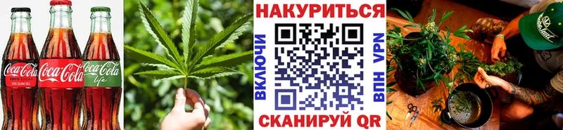 купить наркотики цена  Дмитров  Cannafood конопля 