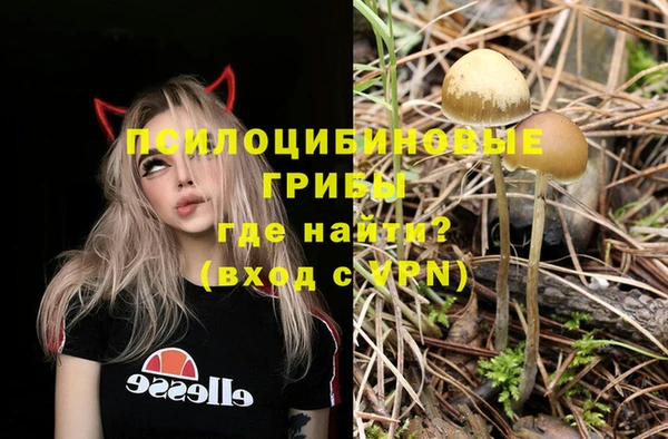 таблы Кодинск